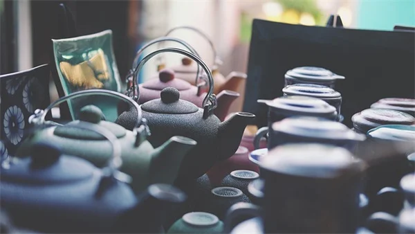 侵略的な観賞用草を避ける！庭で注意すべき3種と安全な代替品