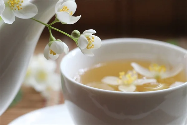 鉢の底に詰めるもの6選！培養土を節約して植物も元気に