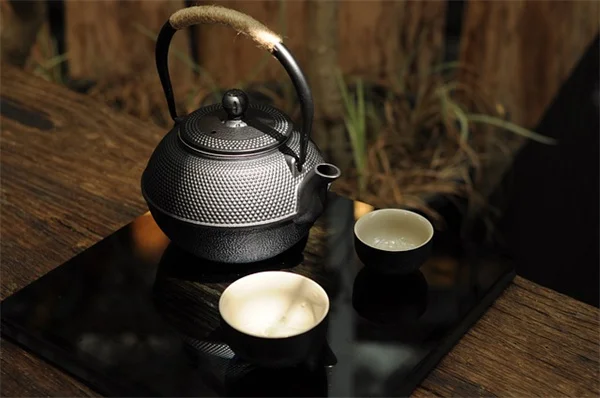霜の芝生は踏んではいけない！冬の芝生管理の基本と注意点